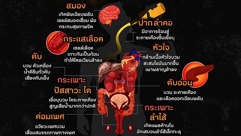 สมองได้รับผลกระทบจากการดื่มเหล้าอย่างไร?