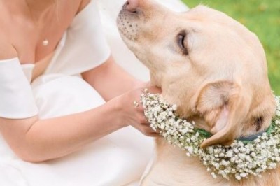 ข้อนี้เลือก 1 อย่างที่คุณแคร์ที่สุด